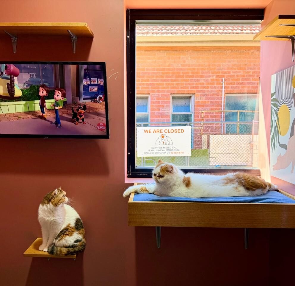 GRAND SUITES COLLECTION