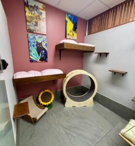 GRAND SUITES COLLECTION