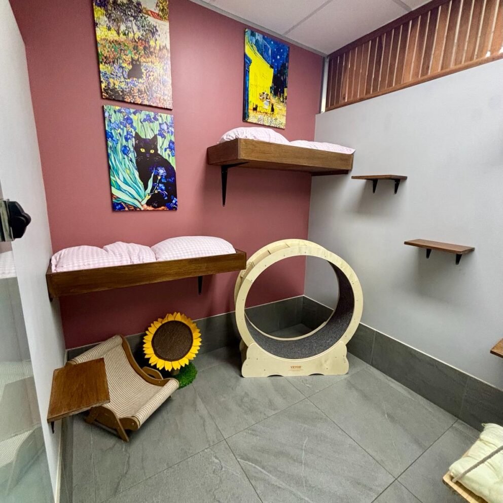 GRAND SUITES COLLECTION