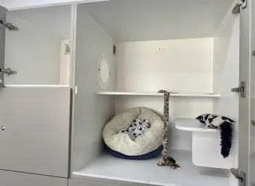 Luxury cat boarding near me