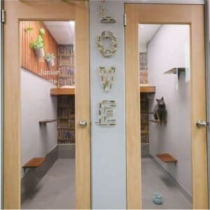 JUNIOR SUITES – VALUE PLUS