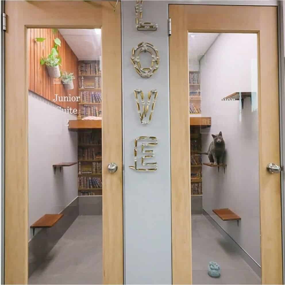 JUNIOR SUITES – VALUE PLUS