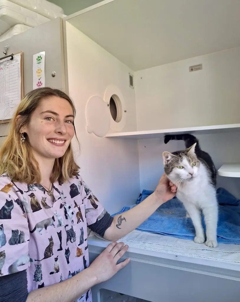 hotel for cats sydney