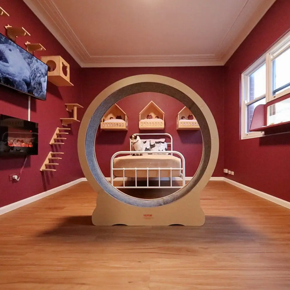 best cat hotel