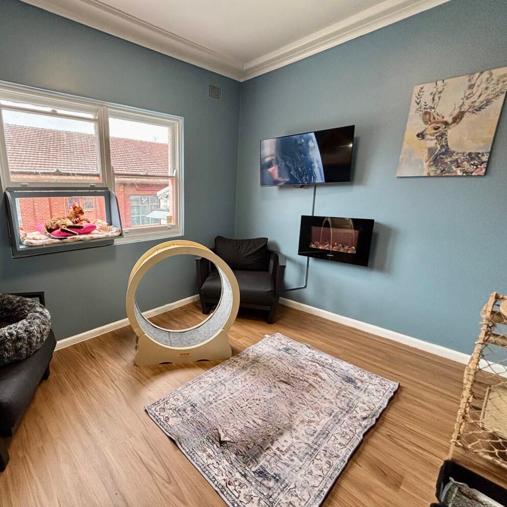 cat hotel sydney