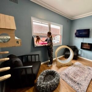 cat hotel sydney