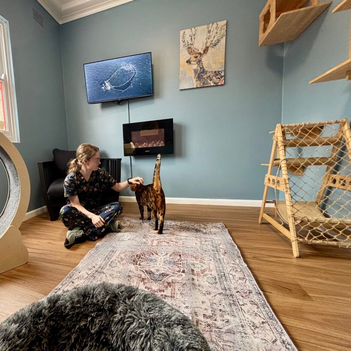 Shire Residents, This Purr-fect Retreat is a Must-See!