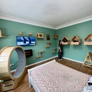 best cat hotel