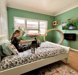 best cat hotel