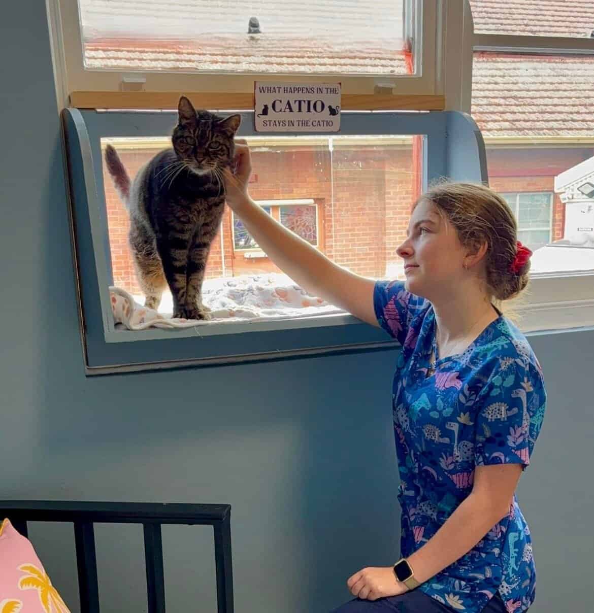 What Happens If My Cat Gets Sick While Boarding?