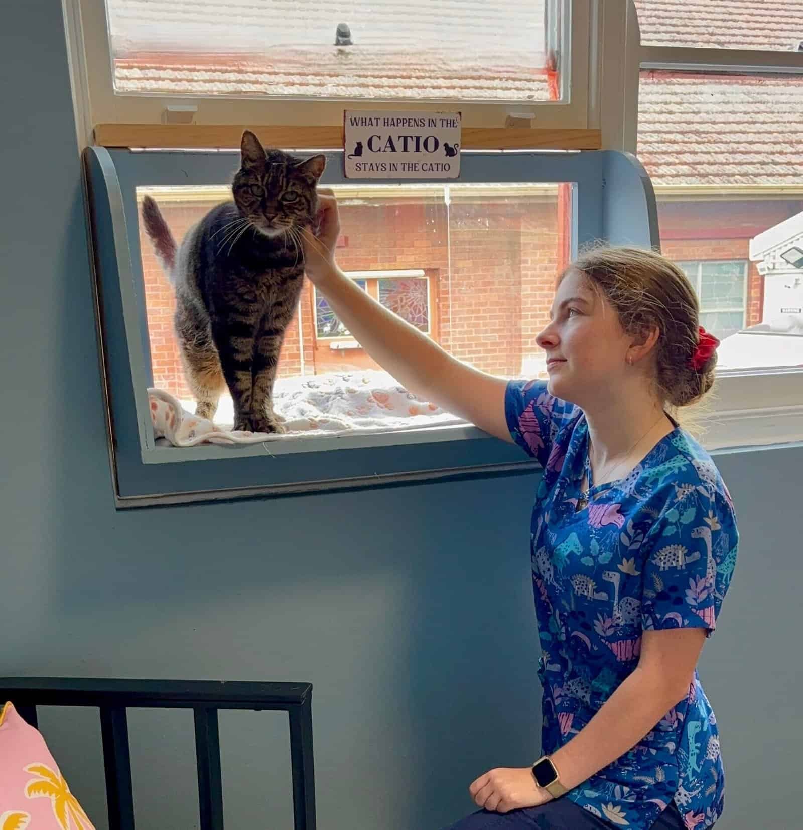 cat boarding Sydney luxurious