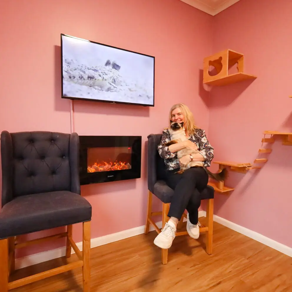 cat hotel sydney