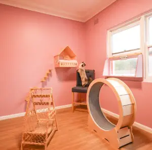 cat hotel sydney