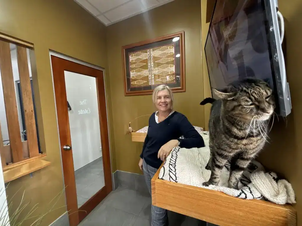 Sydney Cat Boarding