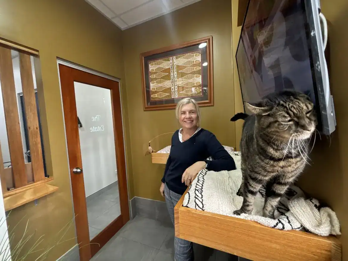 Sydney Cat Boarding