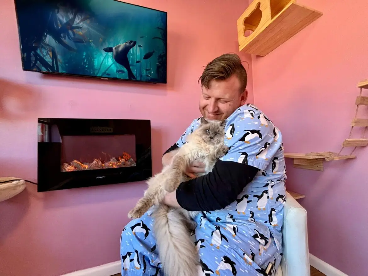 Luxury Cat Boarding: A Home Away from Home for Your Feline