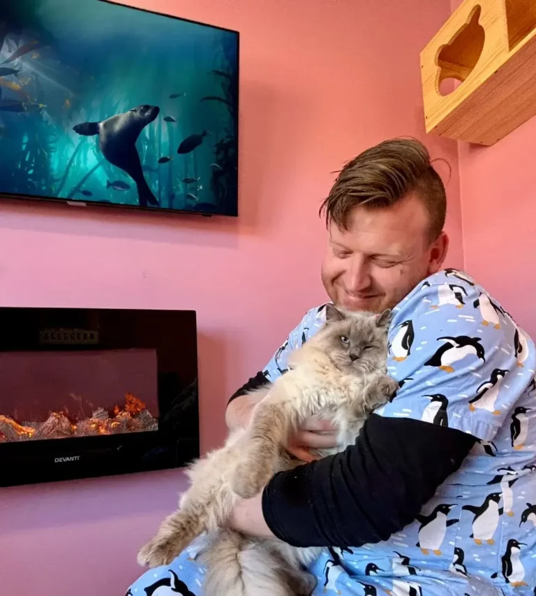 Pet Resorts for Cats