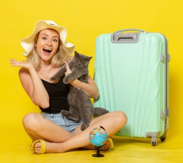 cat boarding
