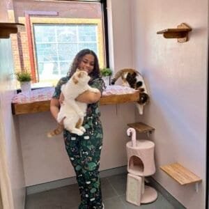 Hotel for Cats Sydney Cat Boarding