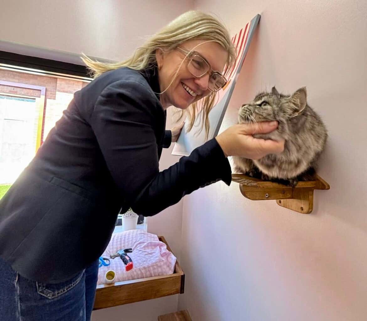 Why Choose a Family-Run Cat Hotel in Sydney?
