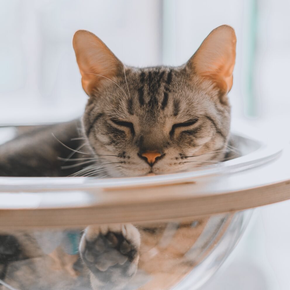 Extra Photo updates - Extras