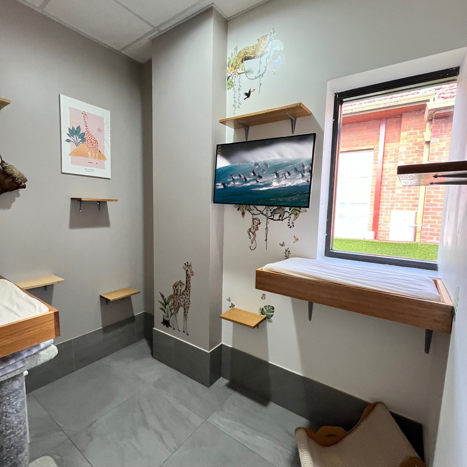 prepare cat for boarding