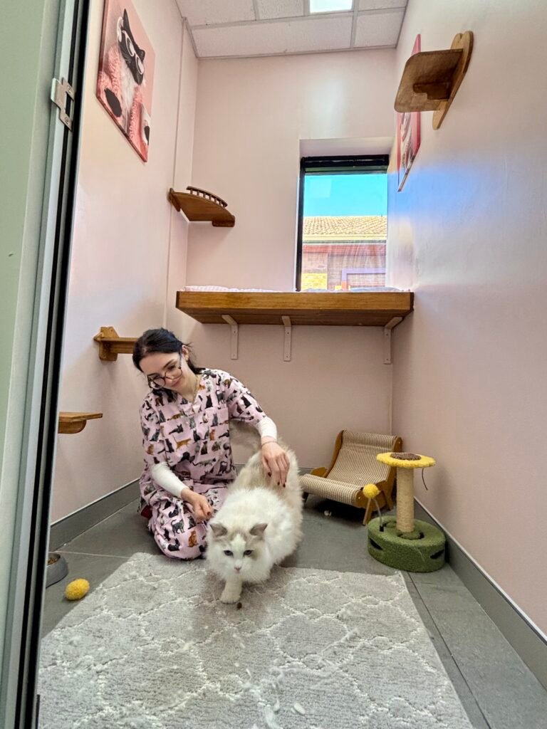 cat boarding facility