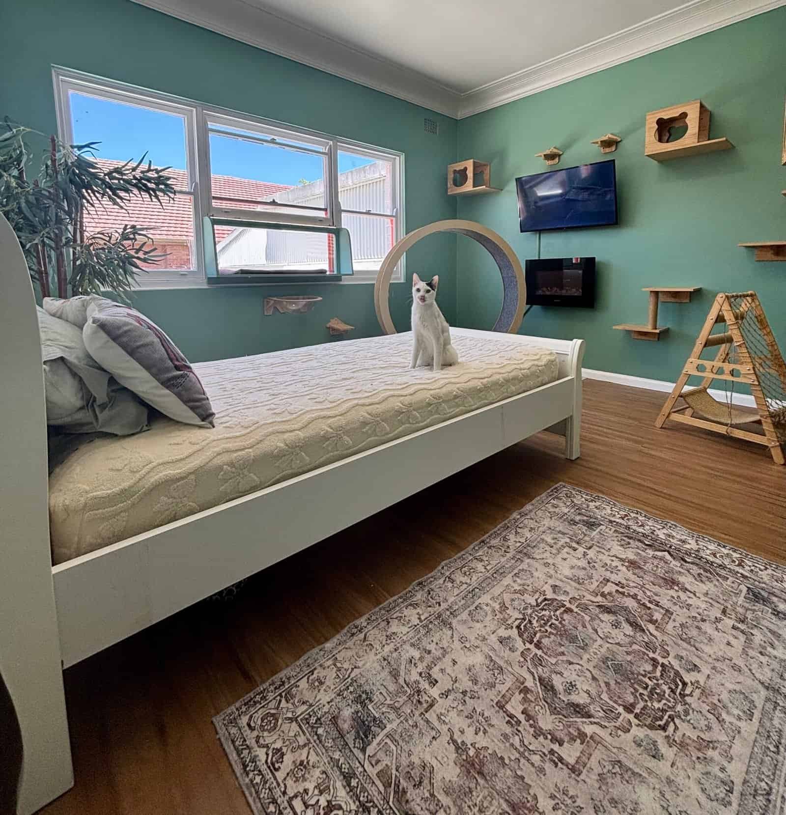 Cozy cat room at Hotel For Cats featuring a bed, window, and play area for feline comfort and entert.