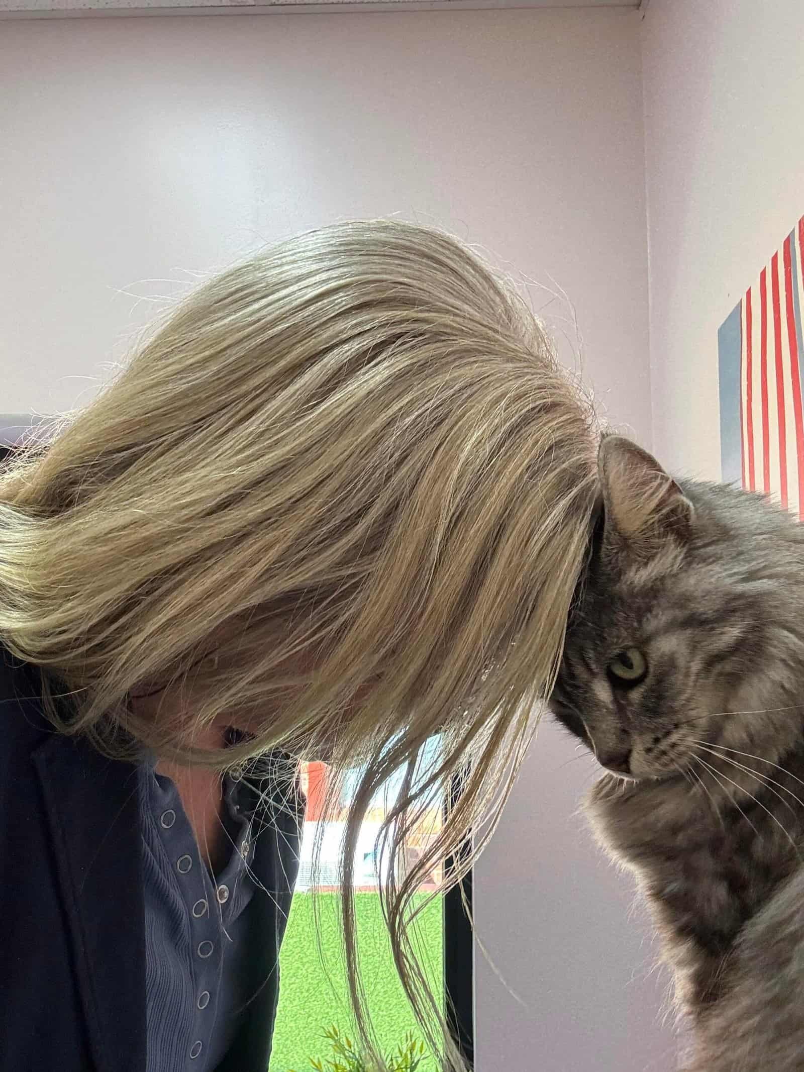Woman and cat touching foreheads at hotel for cats.