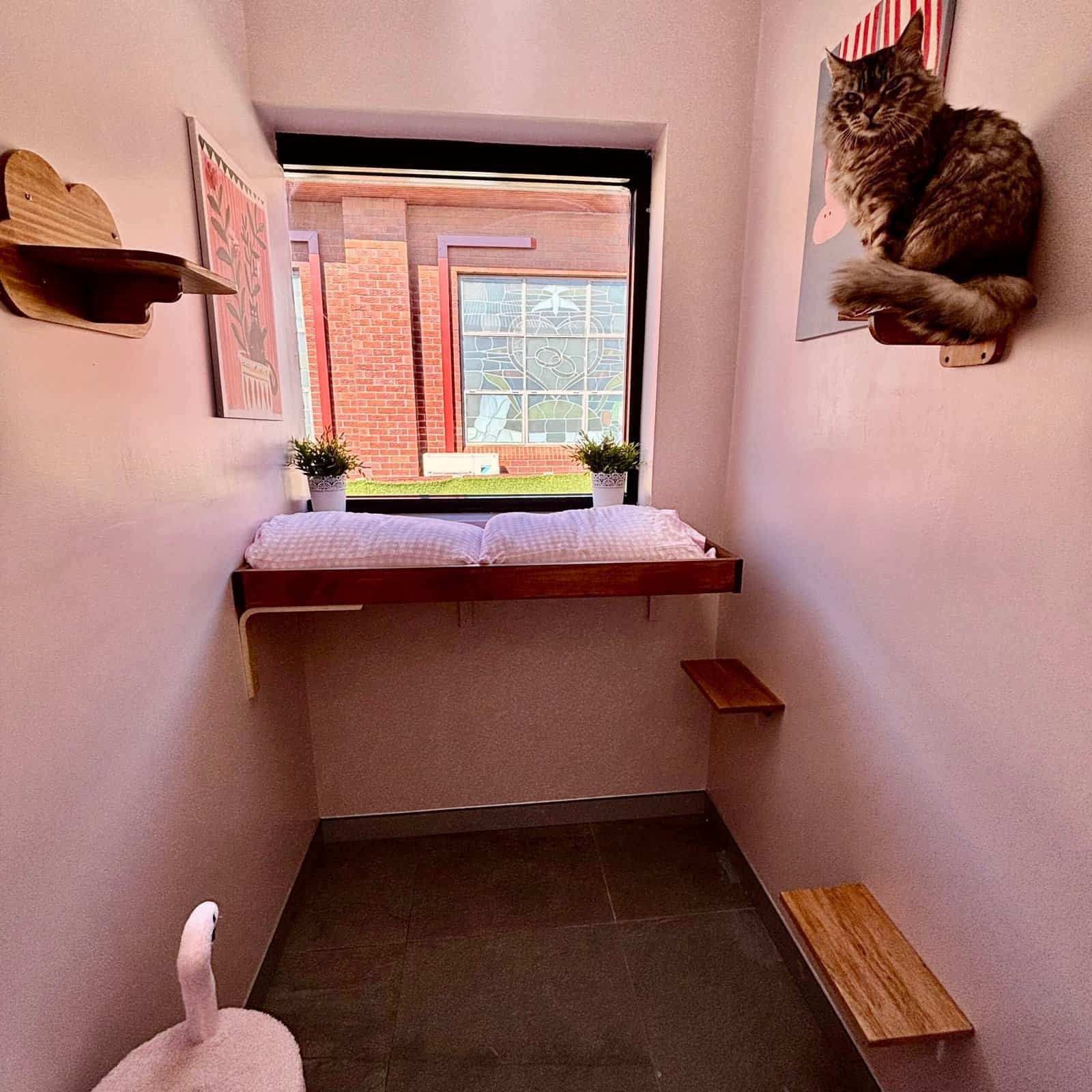 Comfortable cat window nook with bed and shelves at Hotel For Cats.