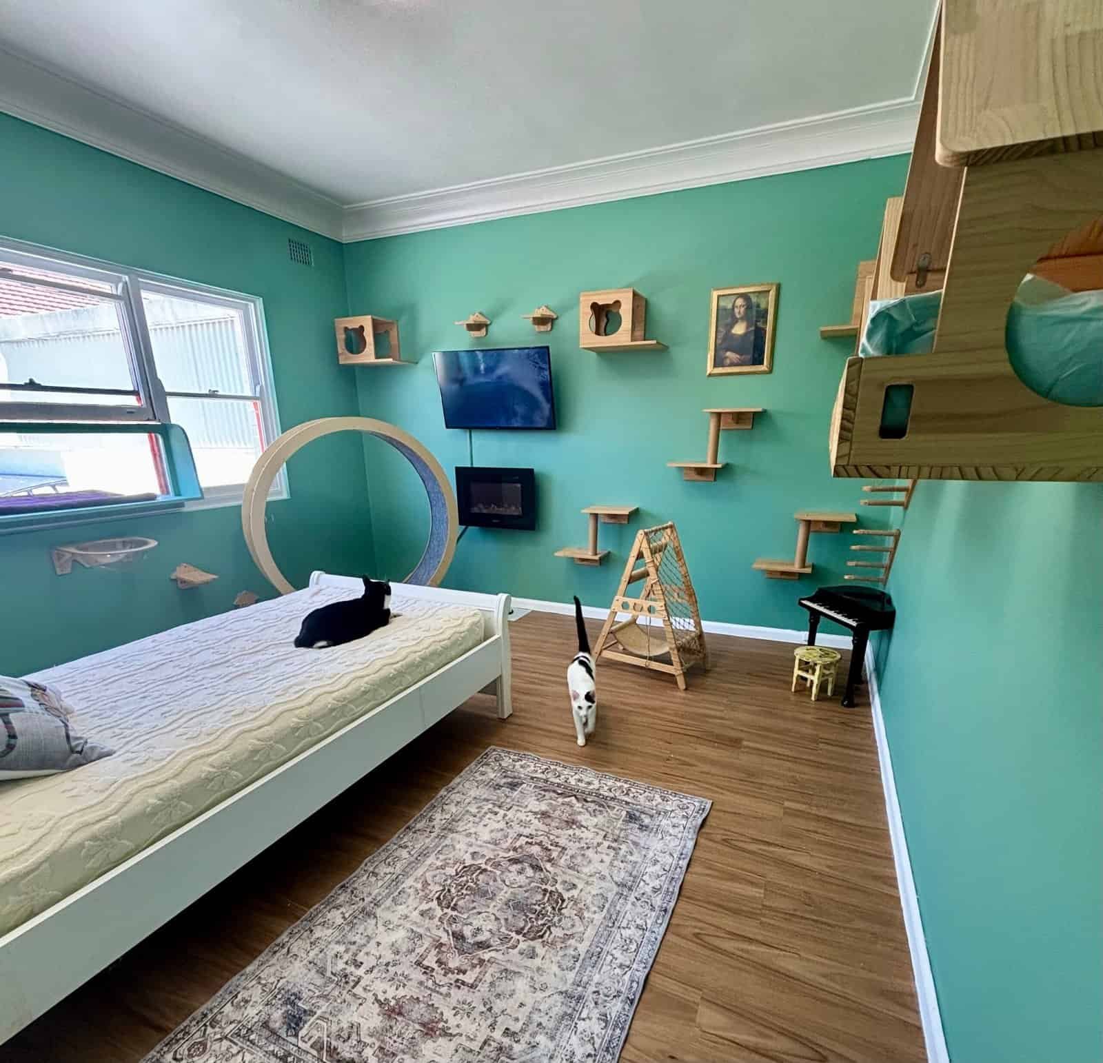 Cat-friendly room with modern decor and playful features for feline guests.