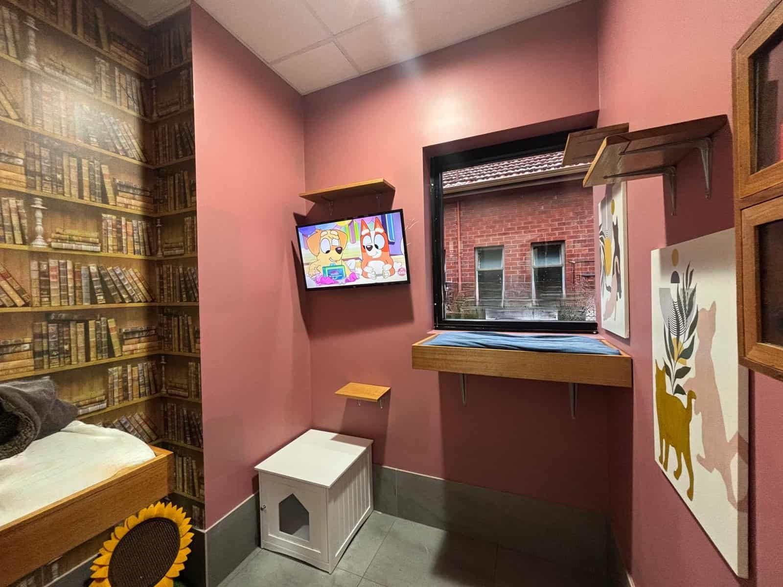 Indoor cat room with TV, artwork, and cozy furniture at Hotel For Cats.