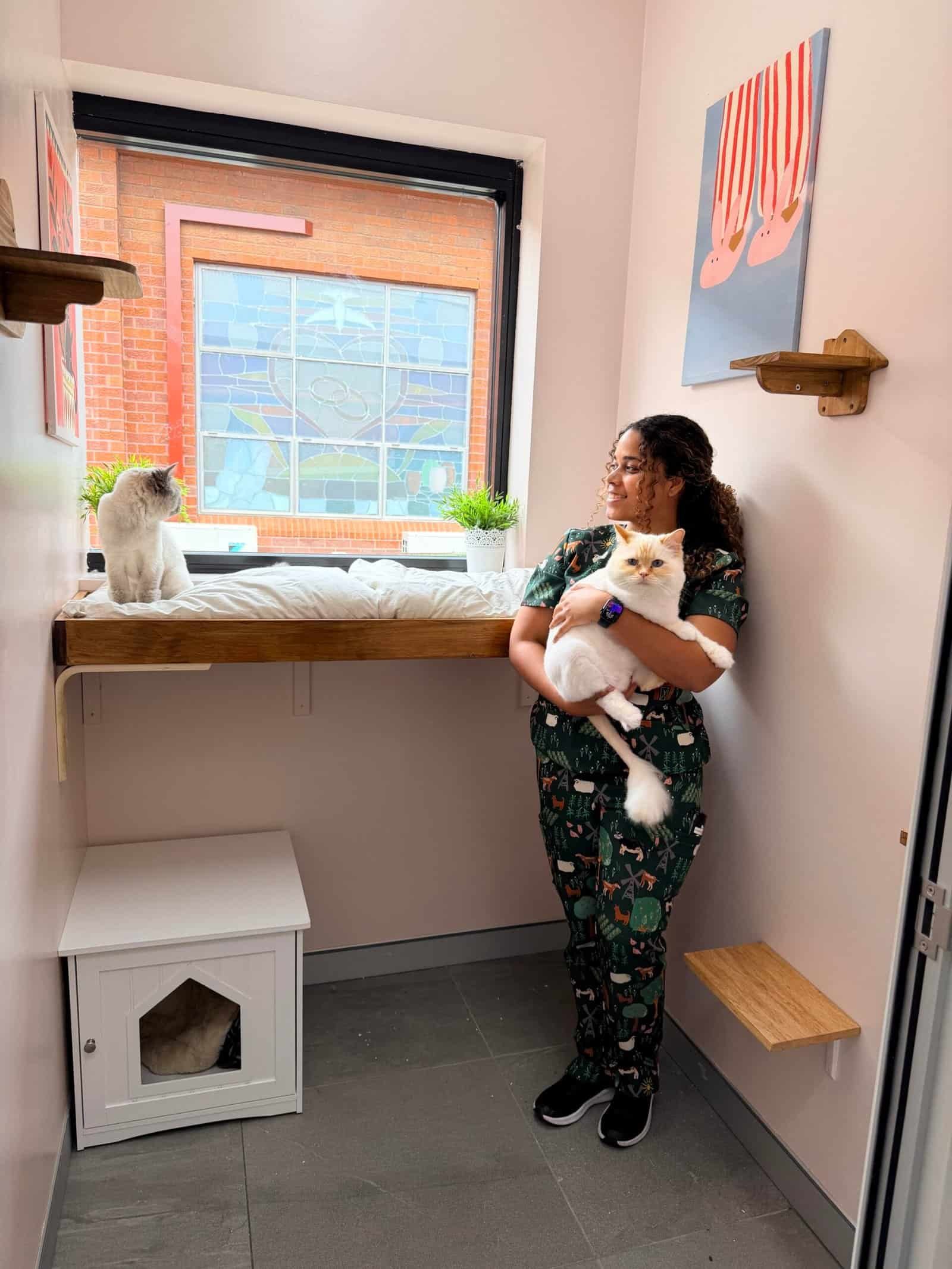 Woman holding a fluffy white cat in a cozy, well-lit room with a window and cat-friendly decor.