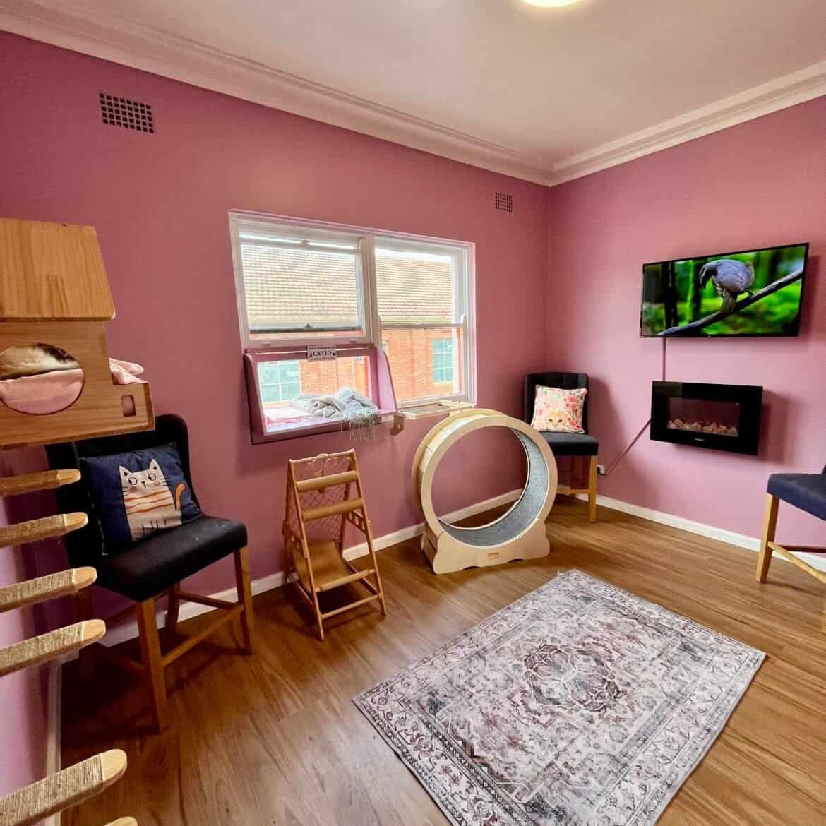 Selecting the Purr-fect Luxury Suite for Your Puddycat in Sydney