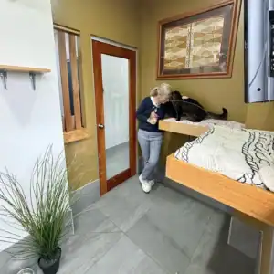 Comfortable cat boarding room with a person attending to a cat on a bed.