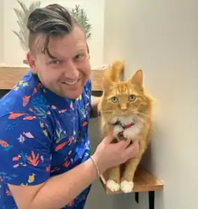 Happy guest cat with staff member at Hotel For Cats, a premium feline boarding facility in Australia.