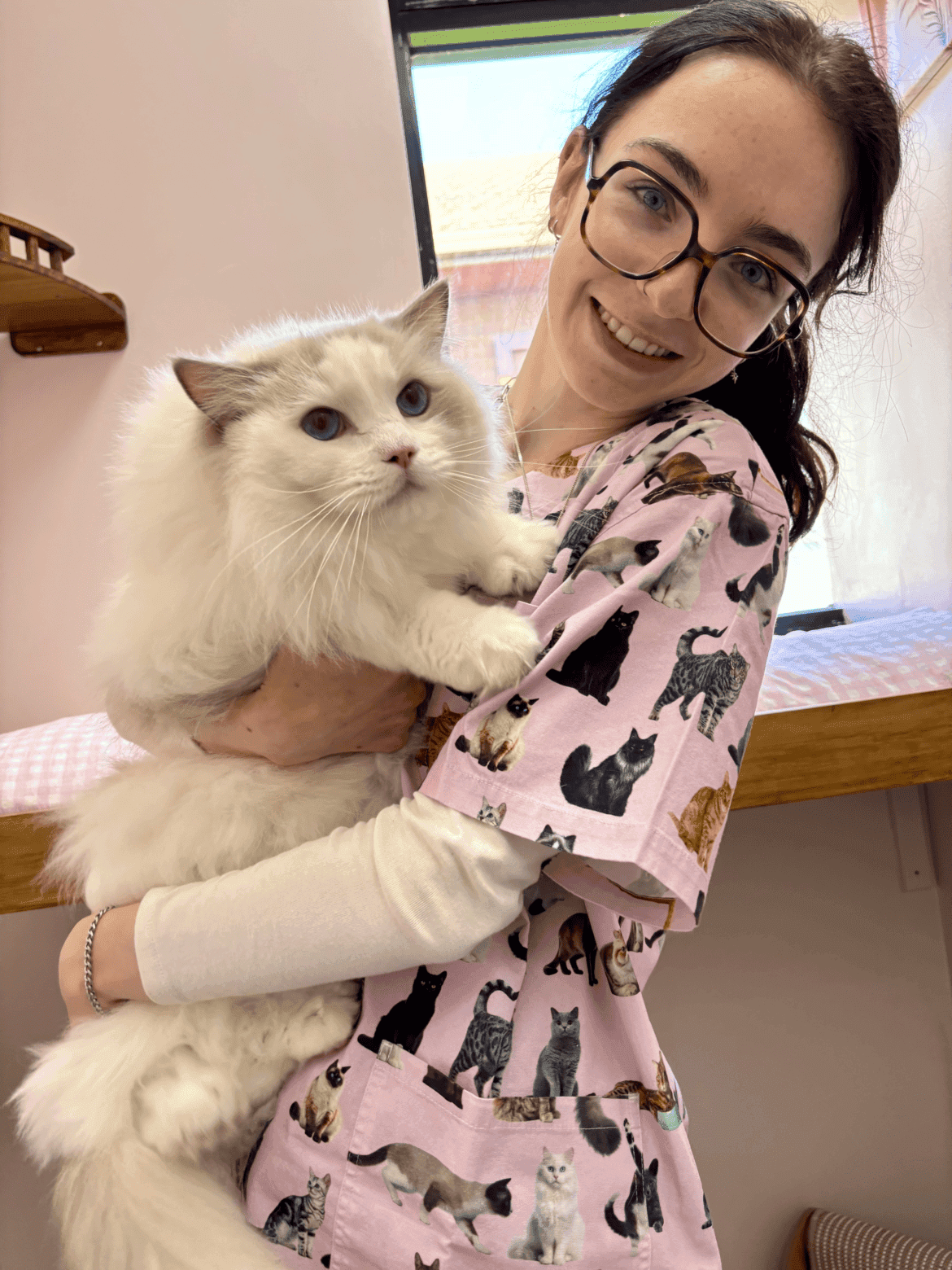 The Vet Advantage: Why Expert Supervision Matters at Sydney’s Luxury Cat Hotel