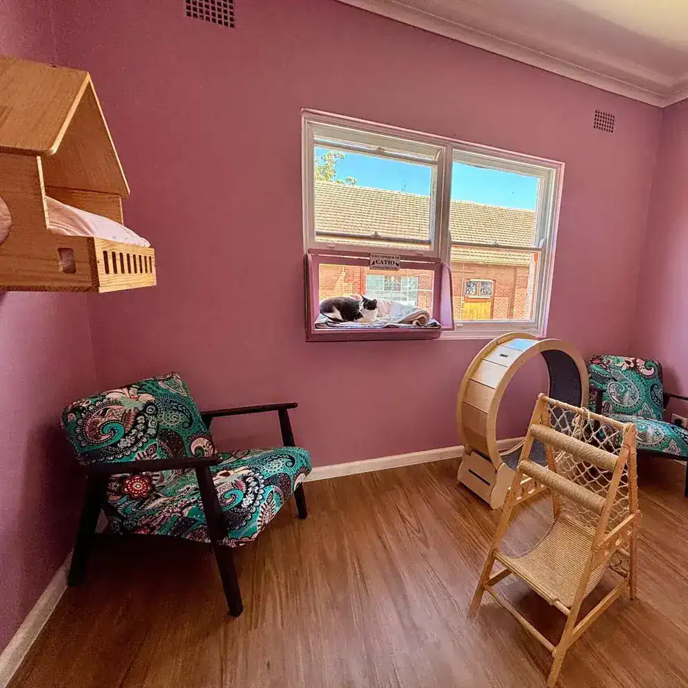 Comfortable cat lounge with chairs, window, and play area at Hotel For Cats.