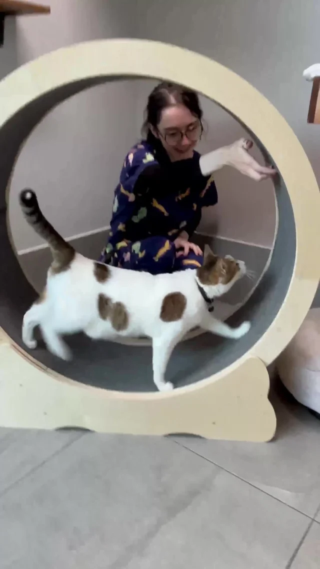 On International Cat Day we honour and appreciate the joy that puddycats bring to our lives. Like gorgeous guest Minette who is simply too adorable for words. 😍