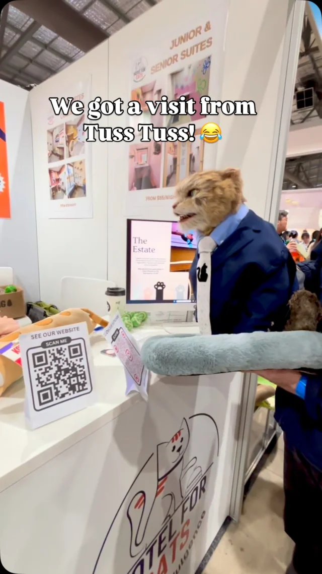😻Tuss Tuss is one cool cat 😻