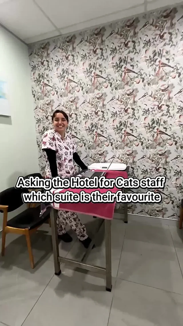 Our staff love all of our suites, but we made them choose…