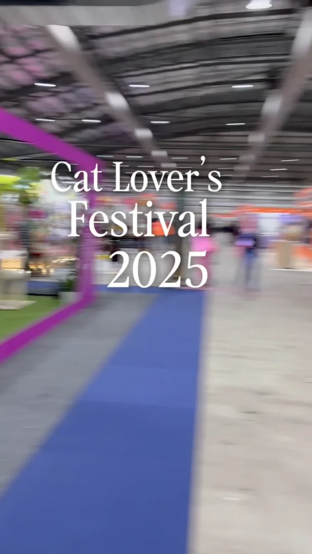 We met some wonderful cat lovers at the @catloversfestival on the weekend. Thank you to everyone who dropped by to have a chat, including many of our gorgeous guests’ parents. Thanks also to our Hotel Manager Corey, Cat Butler Hannah and Founder Holly whose pride in our hotel and love for cats made them all Best in Show. And, thank you @boehringer_ingelheim for the puddycat treat balls. 😻